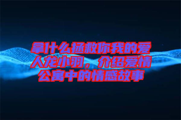 拿什么拯救你我的愛人龍小羽，介紹愛情公寓中的情感故事