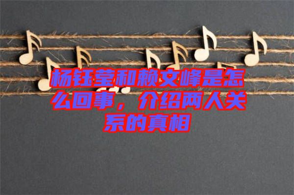 楊鈺瑩和賴文峰是怎么回事，介紹兩人關(guān)系的真相