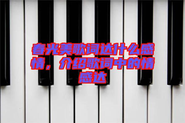 春光美歌詞達什么感情，介紹歌詞中的情感達