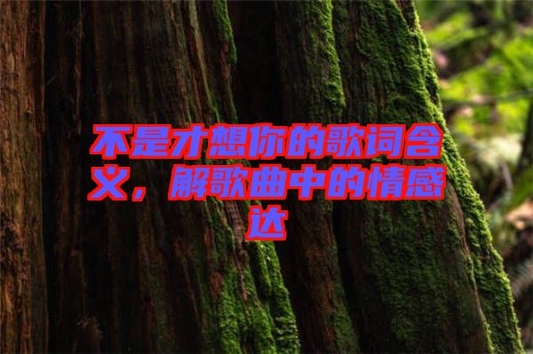 不是才想你的歌詞含義，解歌曲中的情感達(dá)