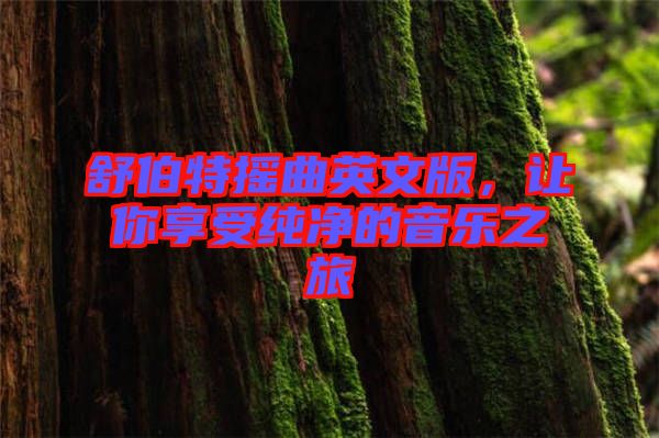 舒伯特?fù)u曲英文版，讓你享受純凈的音樂之旅