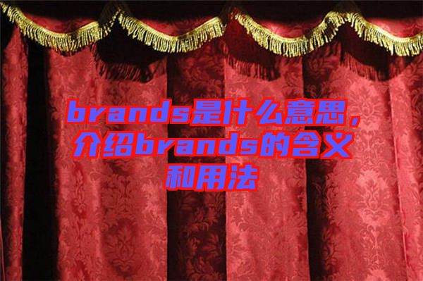 brands是什么意思，介紹brands的含義和用法