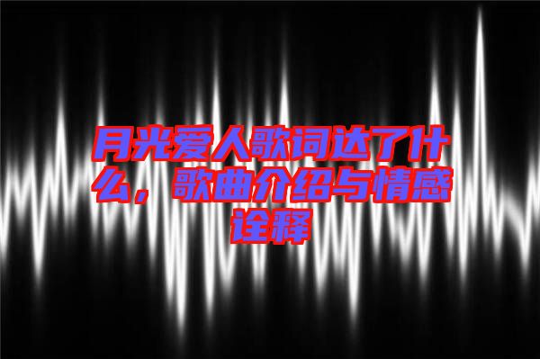 月光愛人歌詞達(dá)了什么，歌曲介紹與情感詮釋