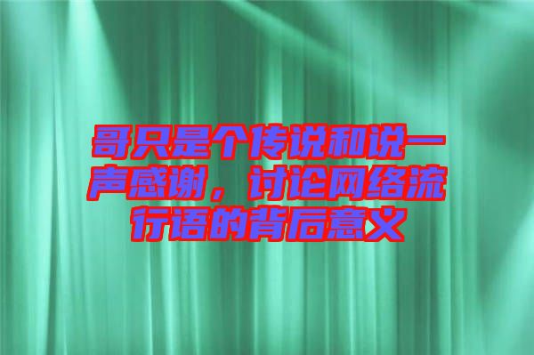 哥只是個傳說和說一聲感謝，討論網(wǎng)絡流行語的背后意義