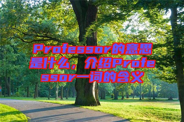 Professor的意思是什么，介紹Professor一詞的含義