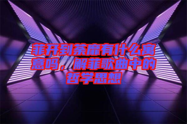 菲開到荼靡有什么寓意嗎，解菲歌曲中的哲學(xué)思想