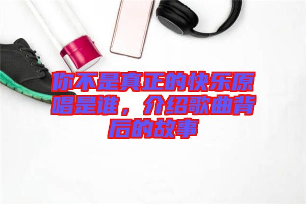 你不是真正的快樂原唱是誰，介紹歌曲背后的故事