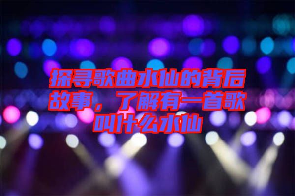 探尋歌曲水仙的背后故事，了解有一首歌叫什么水仙