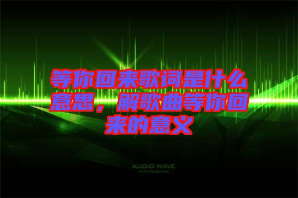 等你回來歌詞是什么意思，解歌曲等你回來的意義