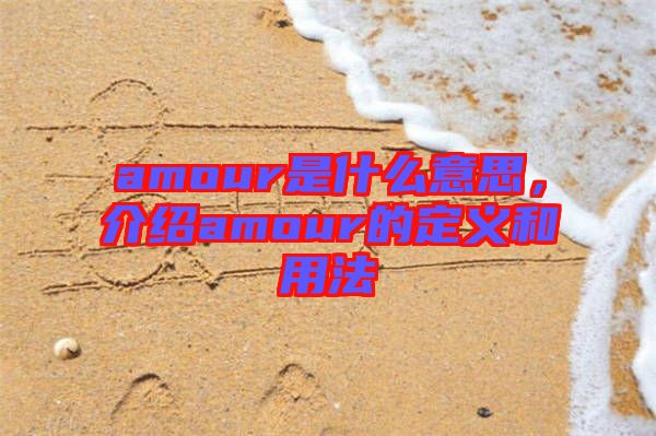 amour是什么意思，介紹amour的定義和用法