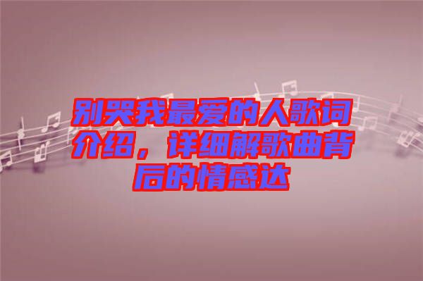 別哭我最愛的人歌詞介紹，詳細(xì)解歌曲背后的情感達(dá)