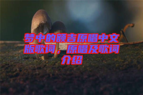 夢(mèng)中的額吉原唱中文版歌詞，原唱及歌詞介紹