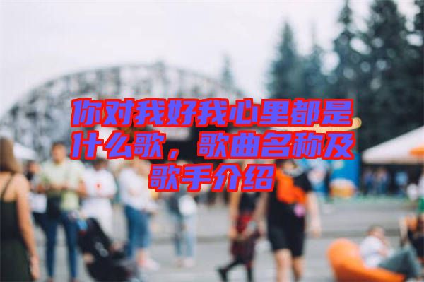 你對(duì)我好我心里都是什么歌，歌曲名稱及歌手介紹