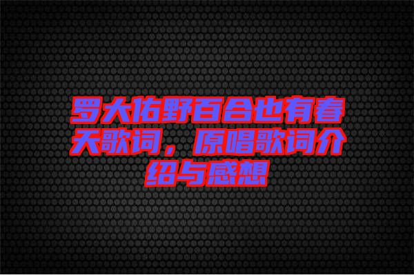 羅大佑野百合也有春天歌詞，原唱歌詞介紹與感想