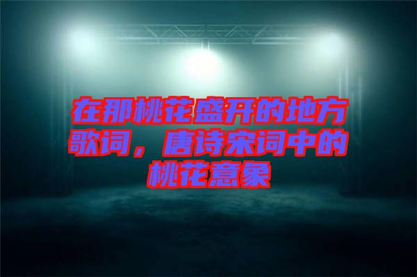 在那桃花盛開的地方歌詞，唐詩(shī)宋詞中的桃花意象