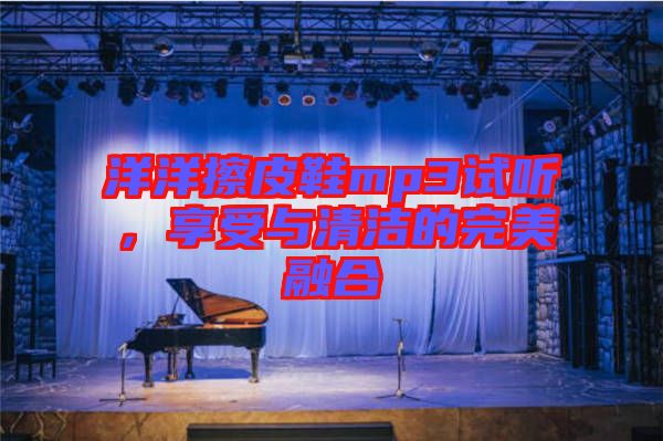 洋洋擦皮鞋mp3試聽，享受與清潔的完美融合