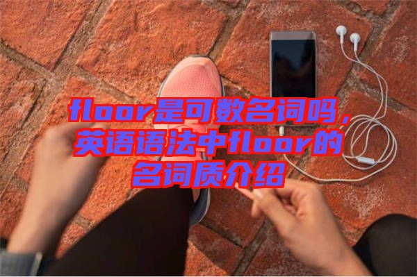 floor是可數名詞嗎，英語語法中floor的名詞質介紹