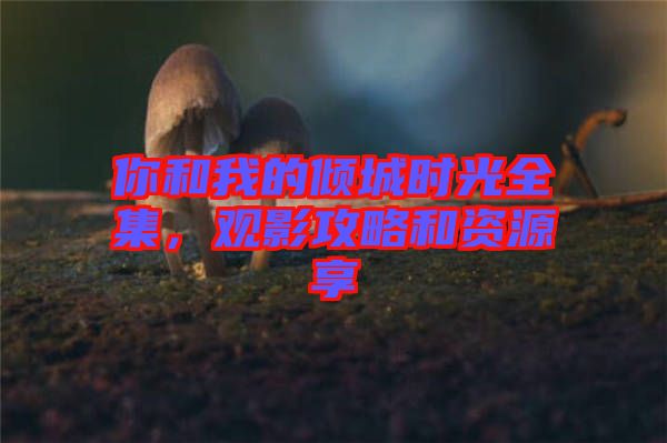 你和我的傾城時(shí)光全集，觀影攻略和資源享