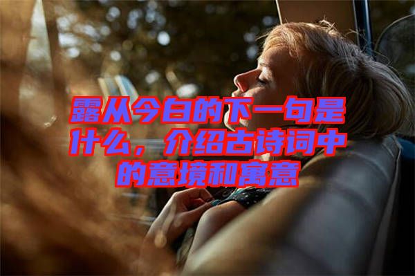 露從今白的下一句是什么，介紹古詩詞中的意境和寓意