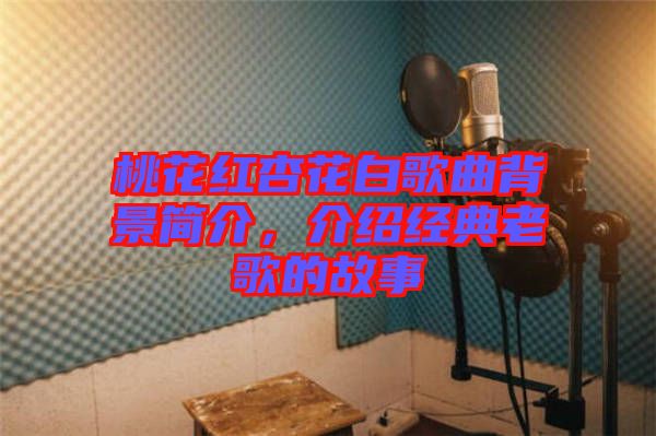 桃花紅杏花白歌曲背景簡(jiǎn)介，介紹經(jīng)典老歌的故事