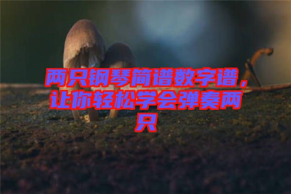 兩只鋼琴簡(jiǎn)譜數(shù)字譜，讓你輕松學(xué)會(huì)彈奏兩只