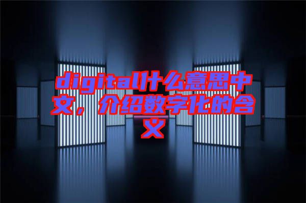 digital什么意思中文，介紹數(shù)字化的含義