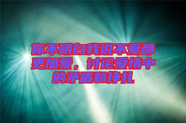 你不明白我說不愛都更加愛，討論愛情中的矛盾和掙扎