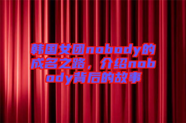 韓國(guó)女團(tuán)nobody的成名之路，介紹nobody背后的故事