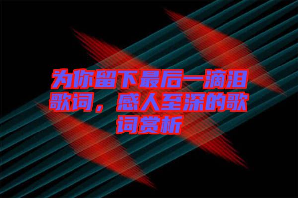 為你留下最后一滴淚歌詞，感人至深的歌詞賞析