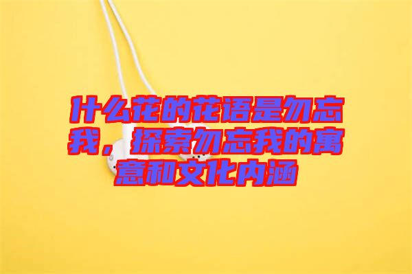 什么花的花語是勿忘我，探索勿忘我的寓意和文化內(nèi)涵