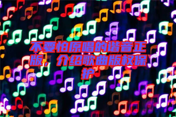 不要怕原唱的諧音正版，介紹歌曲版權(quán)保護