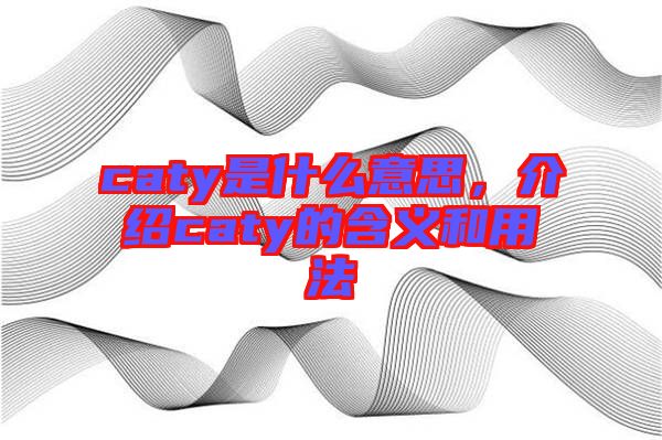 caty是什么意思，介紹caty的含義和用法