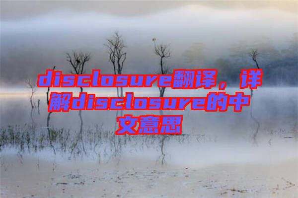 disclosure翻譯，詳解disclosure的中文意思