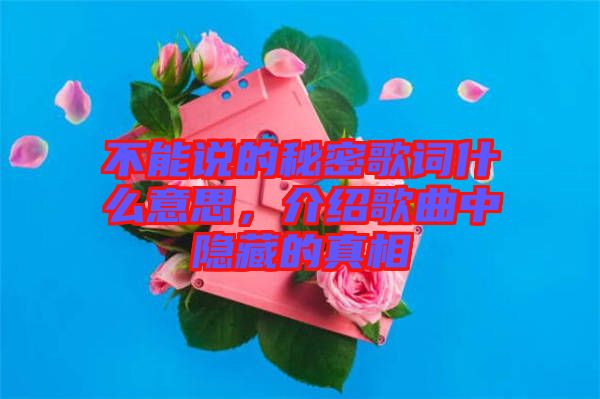 不能說的秘密歌詞什么意思，介紹歌曲中隱藏的真相