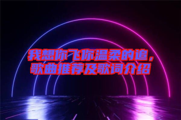 我想你飛你溫柔的追，歌曲推薦及歌詞介紹