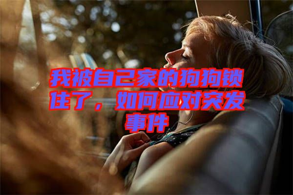 我被自己家的狗狗鎖住了，如何應(yīng)對突發(fā)事件