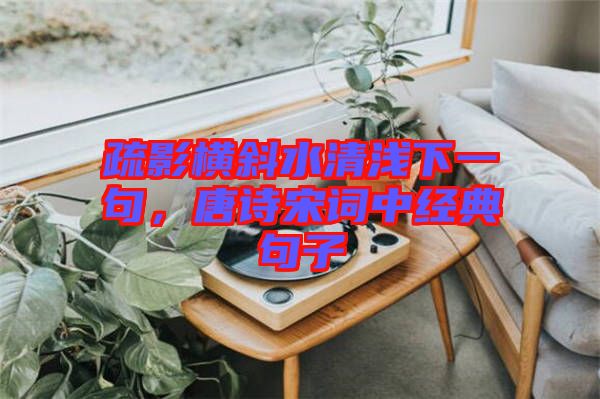 疏影橫斜水清淺下一句，唐詩宋詞中經(jīng)典句子