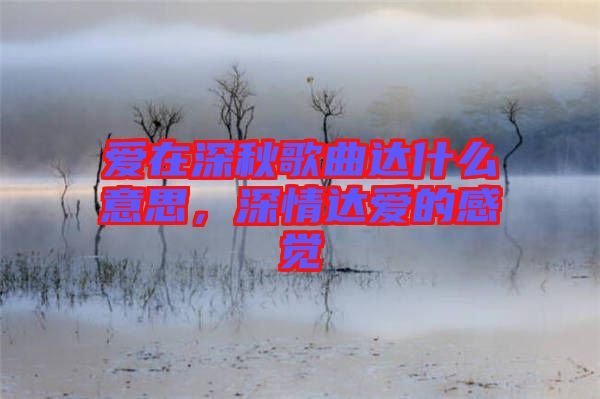 愛在深秋歌曲達(dá)什么意思，深情達(dá)愛的感覺