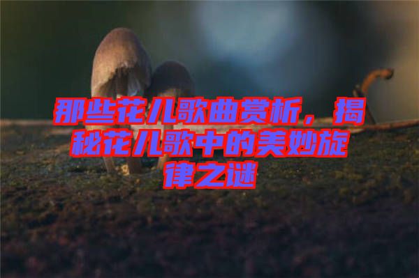 那些花兒歌曲賞析，揭秘花兒歌中的美妙旋律之謎