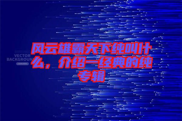 風(fēng)云雄霸天下純叫什么，介紹一經(jīng)典的純專輯