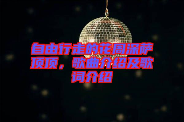 自由行走的花周深薩頂頂，歌曲介紹及歌詞介紹