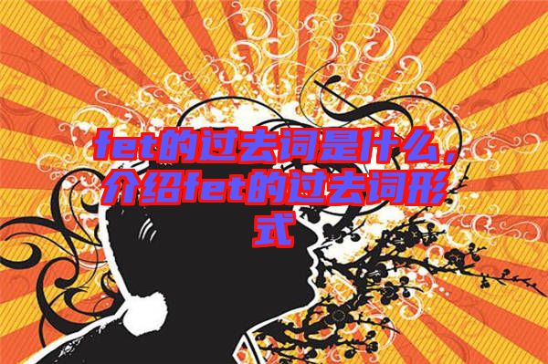 fet的過去詞是什么，介紹fet的過去詞形式