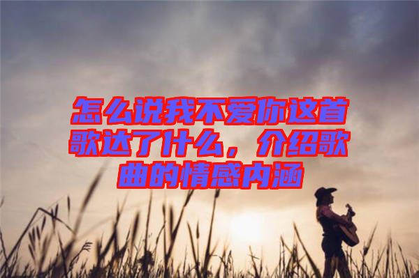 怎么說我不愛你這首歌達了什么，介紹歌曲的情感內(nèi)涵