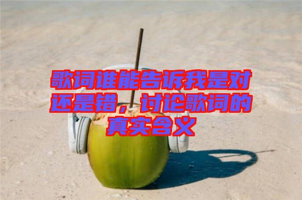 歌詞誰能告訴我是對還是錯，討論歌詞的真實含義