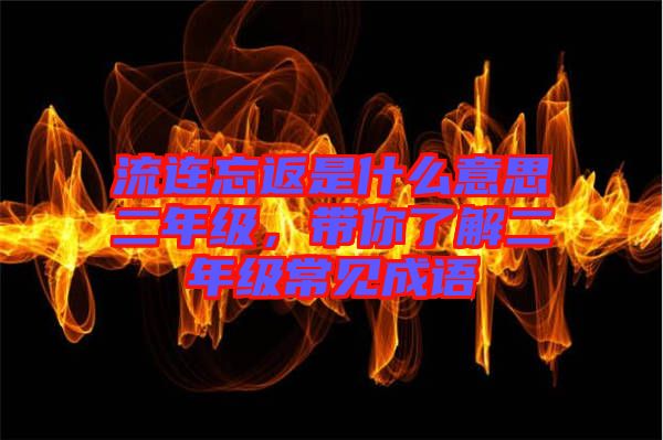 流連忘返是什么意思二年級(jí)，帶你了解二年級(jí)常見(jiàn)成語(yǔ)