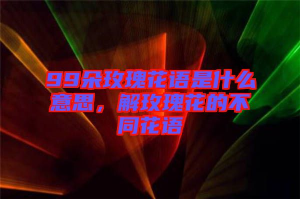 99朵玫瑰花語是什么意思，解玫瑰花的不同花語