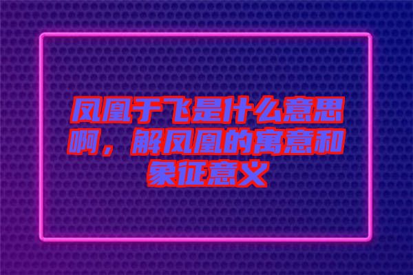 鳳凰于飛是什么意思啊，解鳳凰的寓意和象征意義