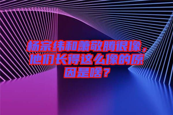 楊宗緯和蕭敬騰很像，他們長得這么像的原因是啥？