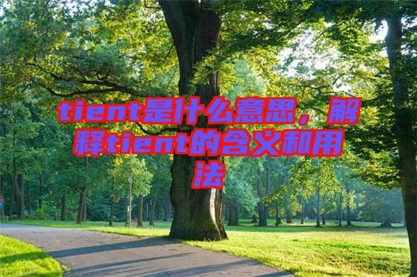 tient是什么意思，解釋tient的含義和用法