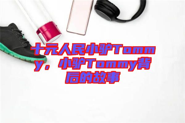 十元人民小驢Tommy，小驢Tommy背后的故事